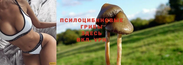 эйфоретик Абдулино