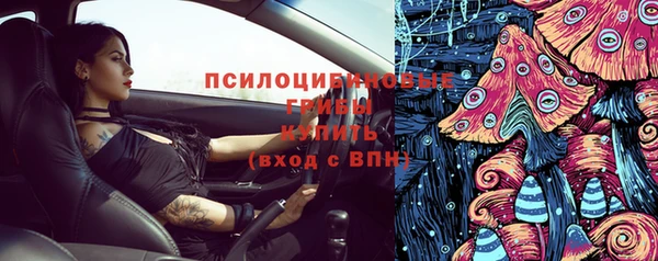 крисы Алексеевка